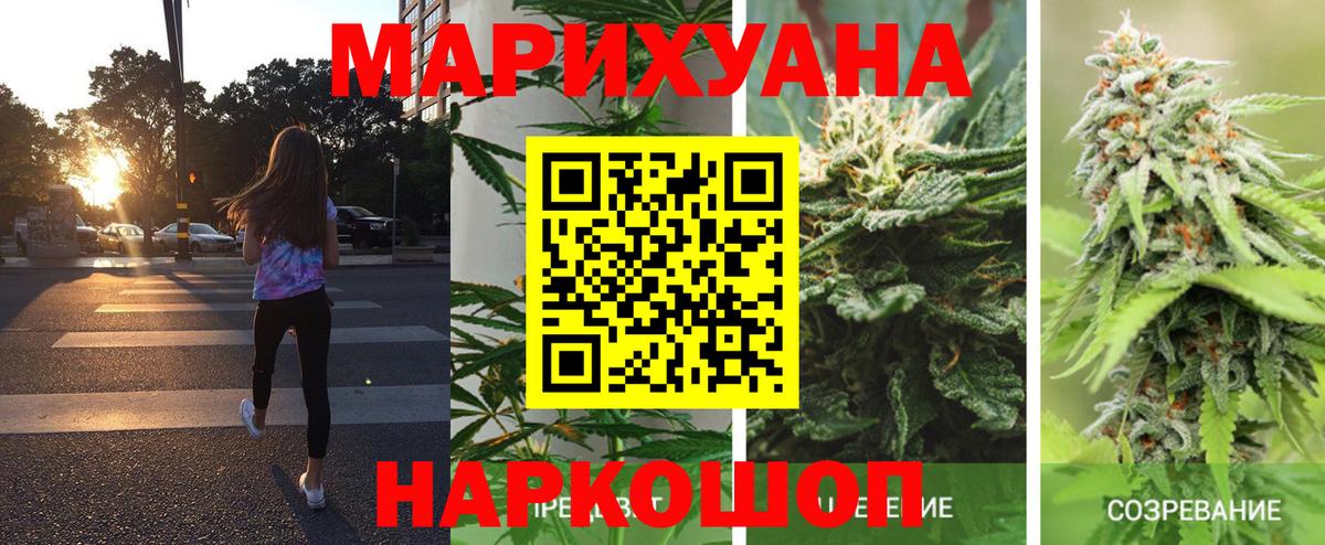 Марихуана конопля Россошь